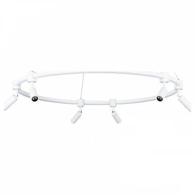 Подвесная люстра Arte Lamp Ring A2186SP-1WH