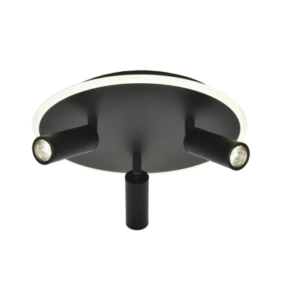 Потолочный светильник Escada 20046LED 20046SMA/03LED BK