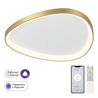 Потолочная люстра Citilux GENKA SMART CL756A162