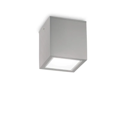 Уличный потолочный светильник Ideal Lux Techo 326887