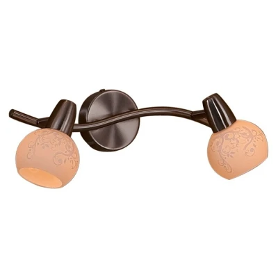 Спот Citilux Соната CL520521 Цвет арматуры хром