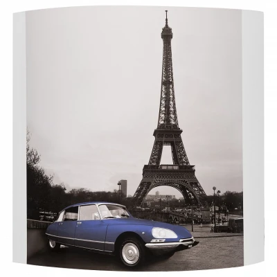 Накладной светильник Alfa Paris 91365 Цвет плафонов разноцветный