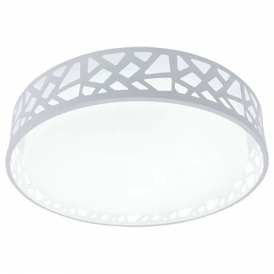 Потолочный светильник Leone TL1205X-72WH Toplight