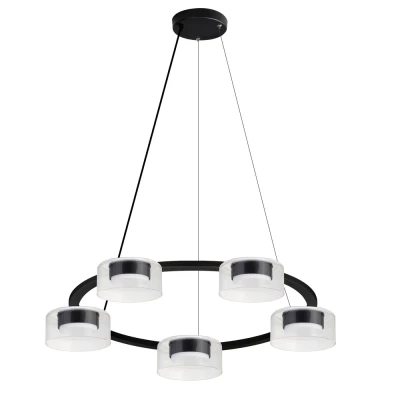 Подвесная люстра Arte Lamp ALIUS A8042SP-5BK