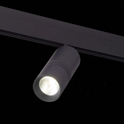 Трековый светильник ST-Luce SKYLINE ST365.446.20.1