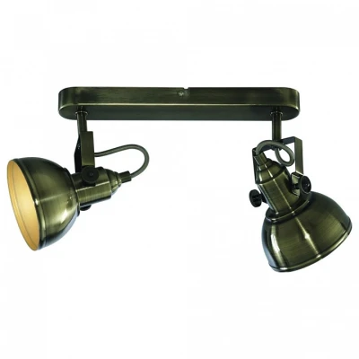 Спот Arte Lamp Martin A5213AP-2AB Цвет арматуры бронза Цвет плафонов бронза