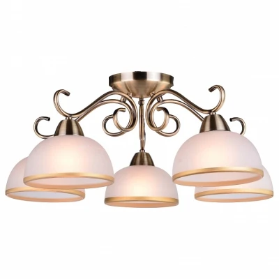 Потолочная люстра Arte Lamp A1221PL-5AB 
