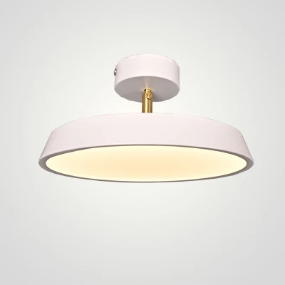 Потолочный светильник BIRK D30 White
