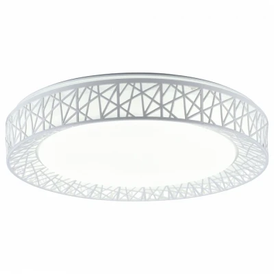 Потолочный светильник Diana TL1204X-72WH Toplight