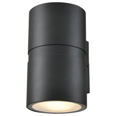 Светильник уличный настенный Wertmark WENZEL WE921.01.021