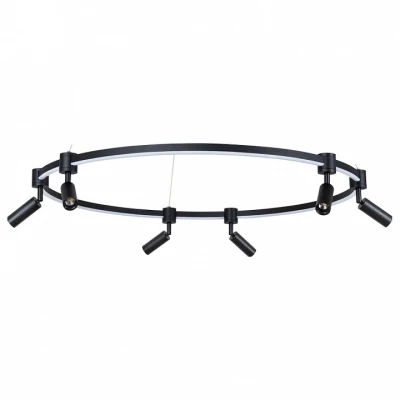 Подвесная люстра Arte Lamp Ring A2186SP-1BK