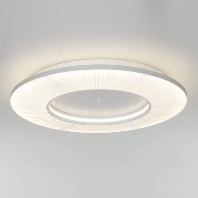 Потолочный светильник Eurosvet Kreis 101003 LED