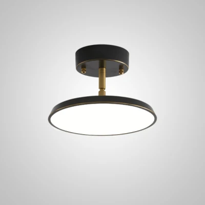 Потолочный светильник BIRK D12 Black