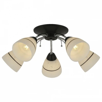 Потолочная люстра Winnifred TL1255D-05BC Toplight