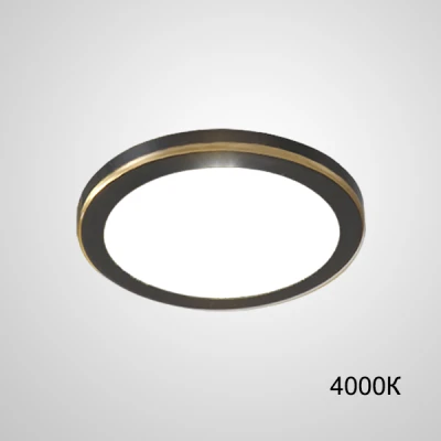 Точечный светодиодный светильник HEIN D12 Black 4000К