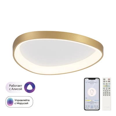 Потолочная люстра Citilux GENKA SMART CL756A142