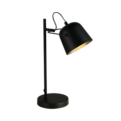 Светильник настольный EVOLUCE BLANK SLE1805-404-01