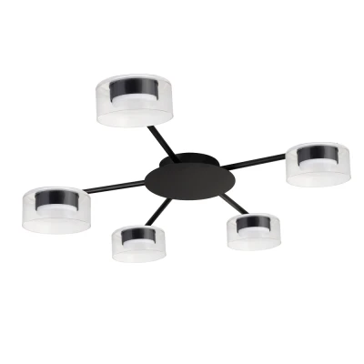 Потолочная люстра Arte Lamp ALIUS A8042PL-5BK