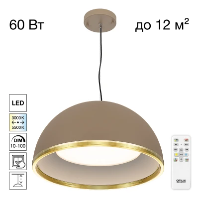 Подвесной светильник Citilux FLOOM CL736252