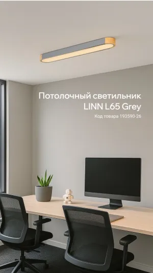 Потолочный светильник LINN L65 Grey