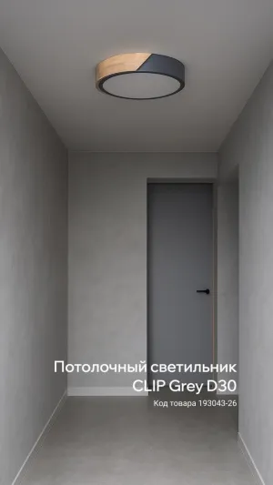 Потолочный светильник CLIP Grey D30