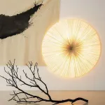 Подвесная люстра Aqua Creations Lighting round D50