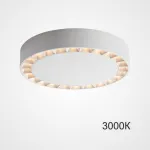 Потолочный светильник OCTAVIA D25,5 White 3000К