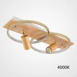 Потолочный светильник DIDRIKA L65 Light Brown 4000К от ImperiumLoft