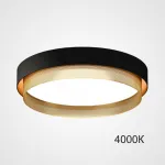 Потолочный светильник MALIA D45 Black Brass 4000К от ImperiumLoft