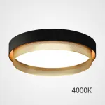 Потолочный светильник MALIA D55 Black Brass 4000К