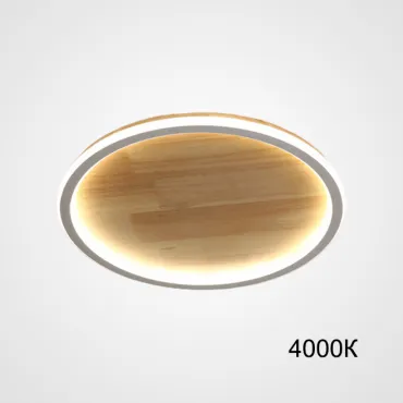 Потолочный светильник DOLAN D30 4000К от ImperiumLoft