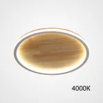 Потолочный светильник DOLAN D40 4000К