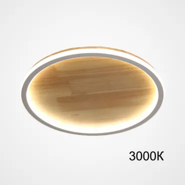 Потолочный светильник DOLAN D50 3000К от ImperiumLoft
