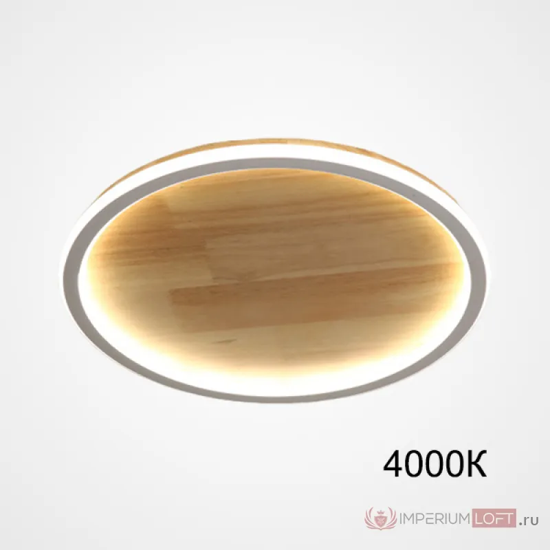 Потолочный светильник DOLAN D50 4000К от ImperiumLoft