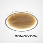 Потолочный светильник DOLAN D50 Трехцветный свет