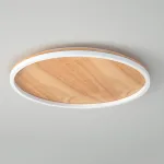 Потолочный светильник DOLAN D40 3000К