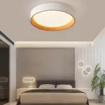 Потолочный светильник WENNY D45 Трехцветный свет