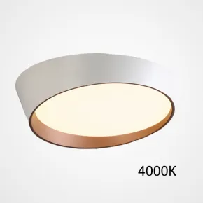 Потолочный светильник TORONTO D50 White 4000К