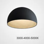 Потолочный светильник BARA B D35 Black Трехцветный свет