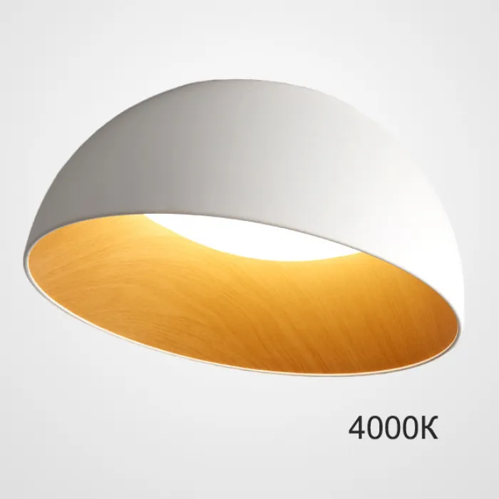 Потолочный светильник BARA A D50 White 4000К от ImperiumLoft