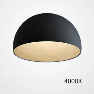 Потолочный светильник BARA B D50 Black 4000К