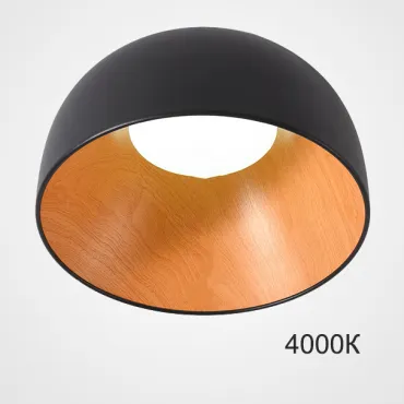 Потолочный светильник NORDA A Black 4000К