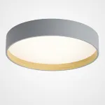 Потолочный светильник NETTY D50 Grey