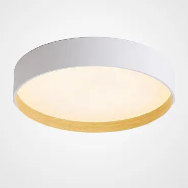 Потолочный светильник NETTY D40 White от ImperiumLoft