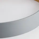 Потолочный светильник NETTY D40 Black