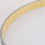 Потолочный светильник NETTY D40 Black