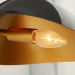 Настенный светильник HILDBORG L58 Brass Black Matt