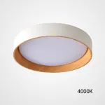 Потолочный светильник WENNY D35 4000К