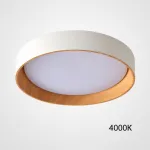 Потолочный светильник WENNY D45 4000К