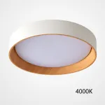 Потолочный светильник WENNY D55 4000К